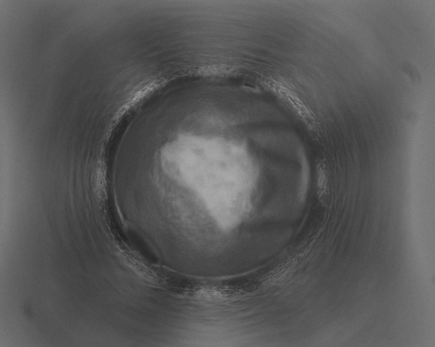 X0000116550684200912241556