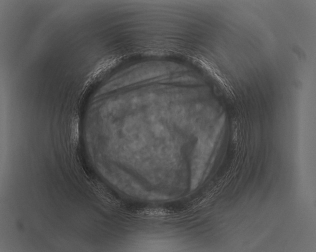 X0000116550685200912241556