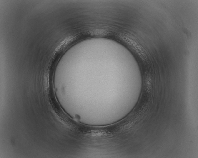 X0000116550686200912241556