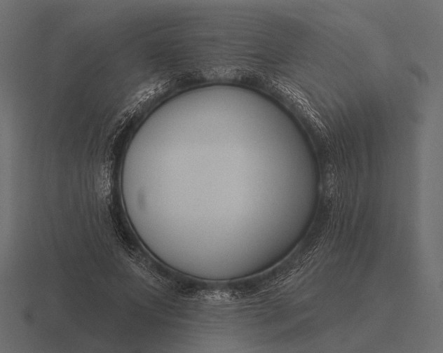 X0000116550687200912241556