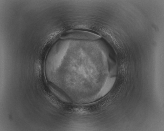 X0000116550688200912241556