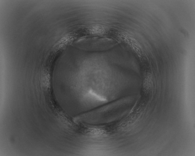 X0000116550689200912241556