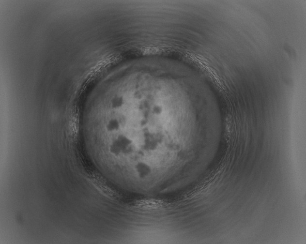 X0000116550691200912241556