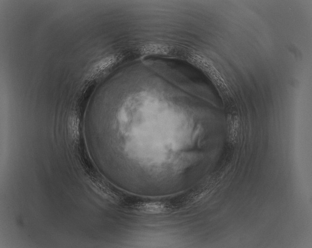 X0000116550692200912241555