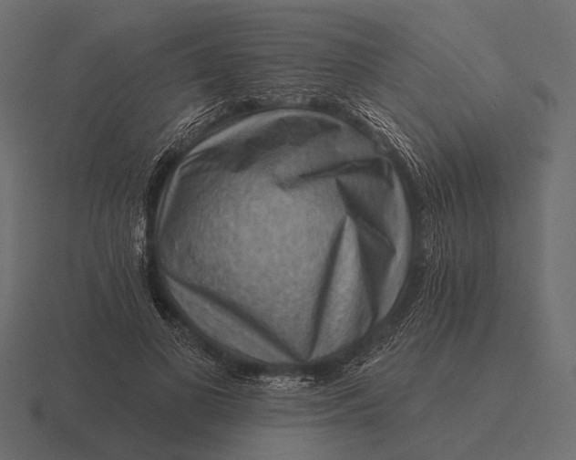 X0000116550693200912241555