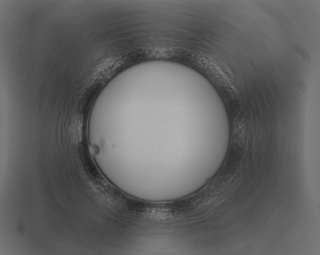 X0000116550694200912241555