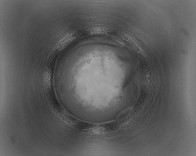 X0000116550696200912241555