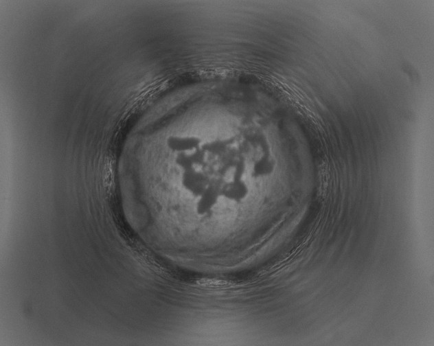 X0000116550699200912241555