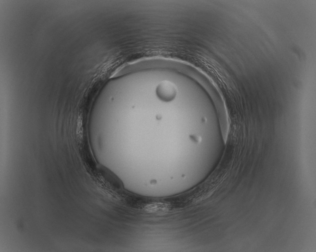 X0000116550700200912241555