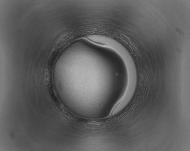 X0000116550701200912241555