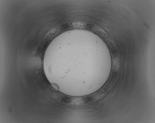 X0000116550705200912241555