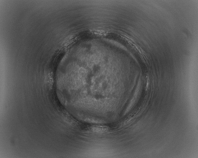 X0000116550707200912241555