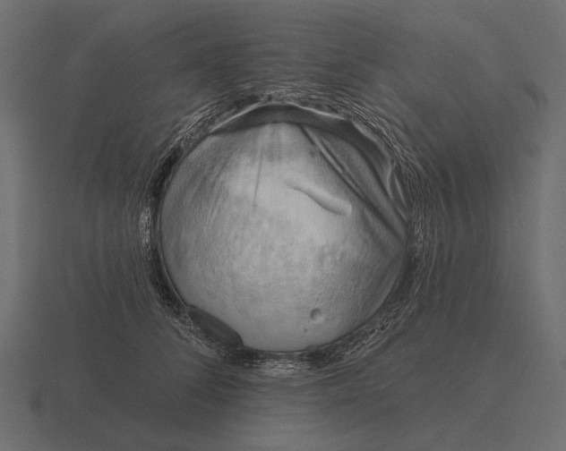 X0000116550708200912241555