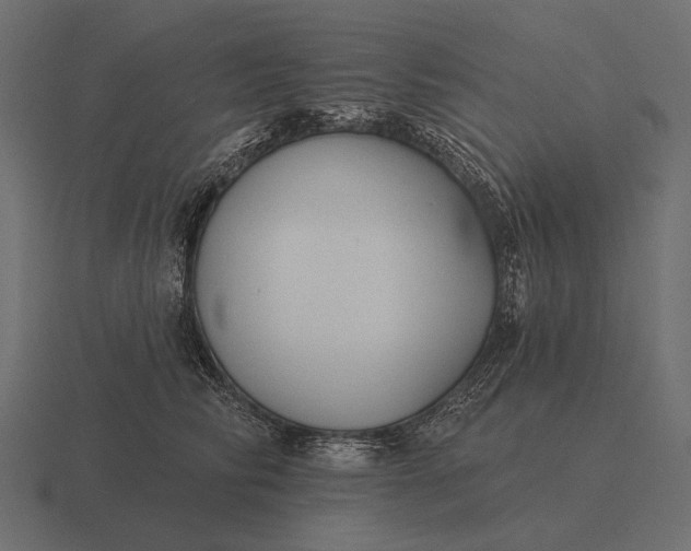 X0000116550710200912241555