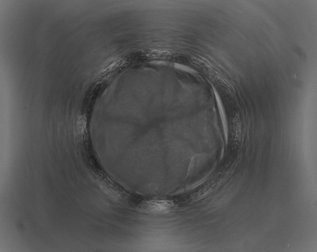 X0000116550711200912241555