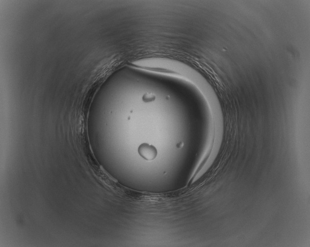 X0000116550713200912241555