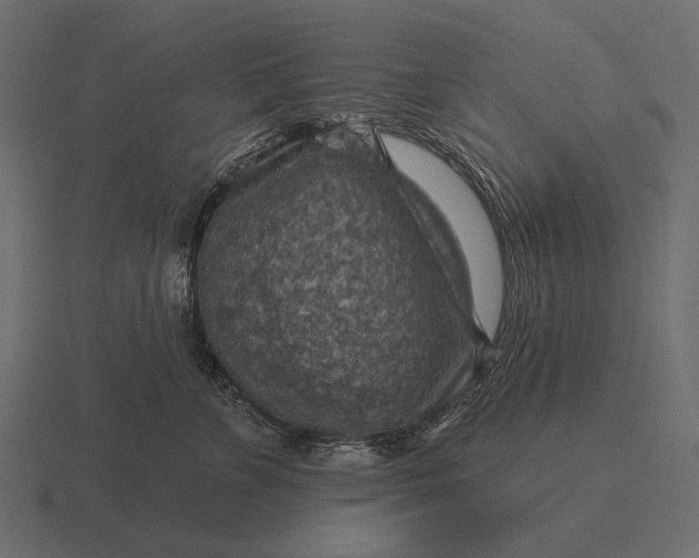 X0000116550715200912241555