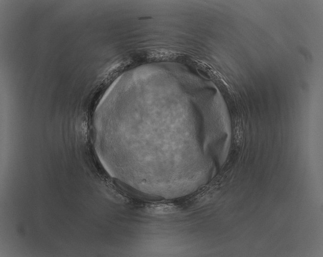 X0000116550716200912241555