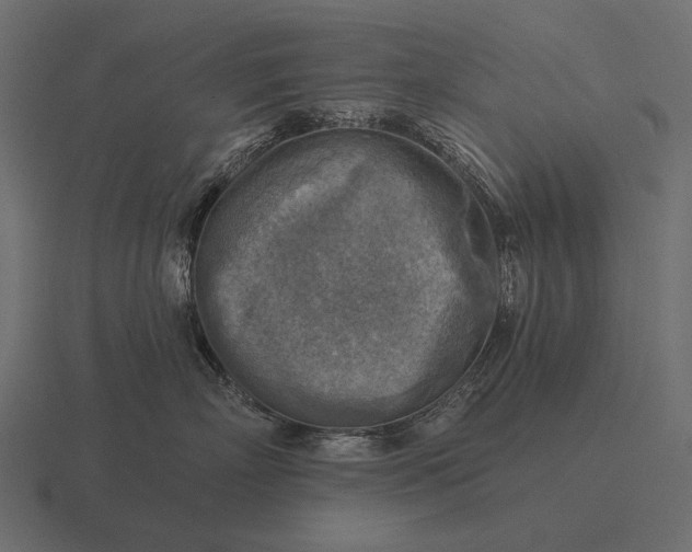 X0000116550718200912241555