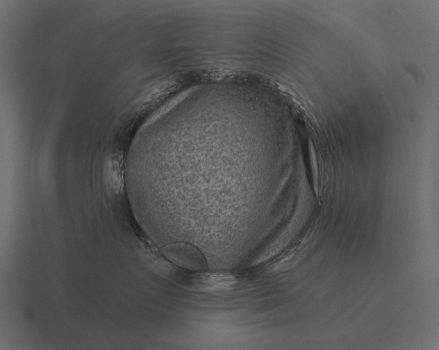 X0000116550719200912241555