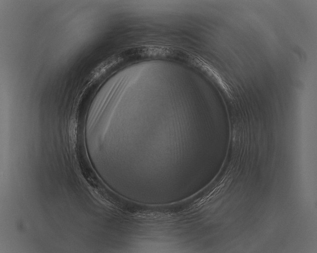 X0000116550722200912241555