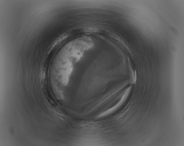 X0000116550723200912241555