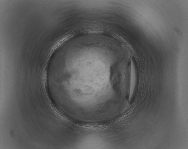 X0000116550725200912241555