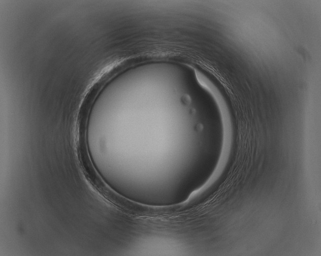 X0000116550726200912241555