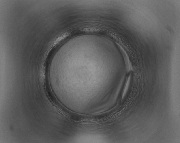 X0000116550727200912241555