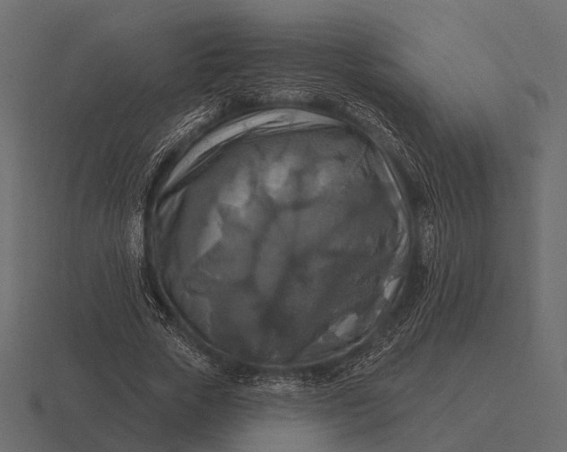 X0000116550729200912241555