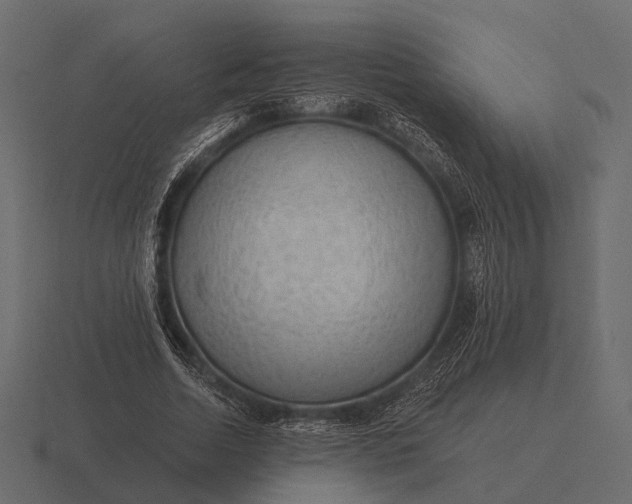 X0000116550730200912241555