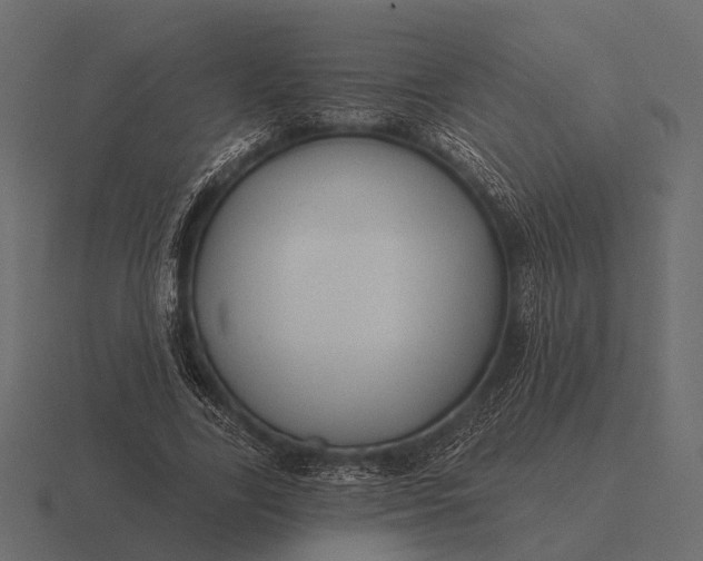 X0000116550731200912241555