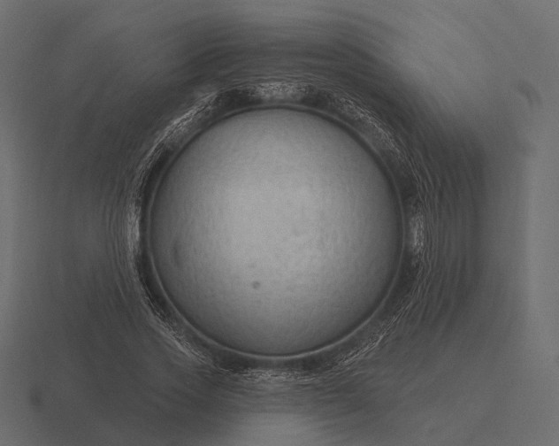 X0000116550733200912241555