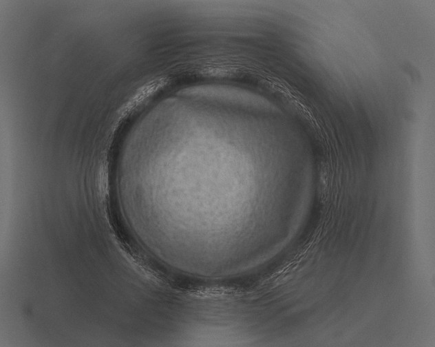 X0000116550734200912241555