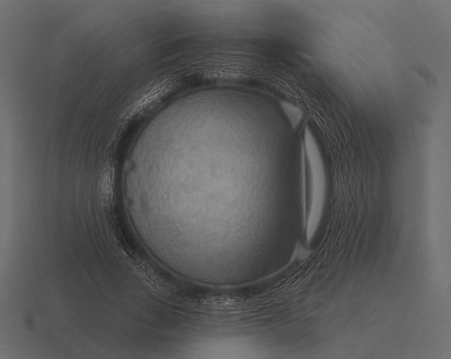 X0000116550735200912241555