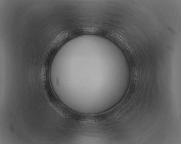 X0000116550738200912241555