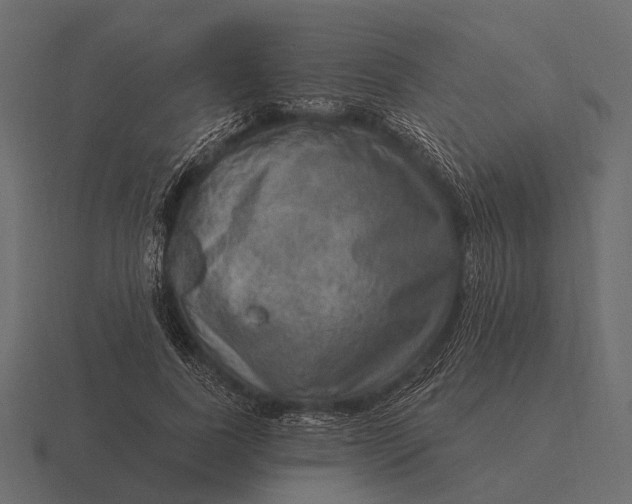 X0000116550739200912241555