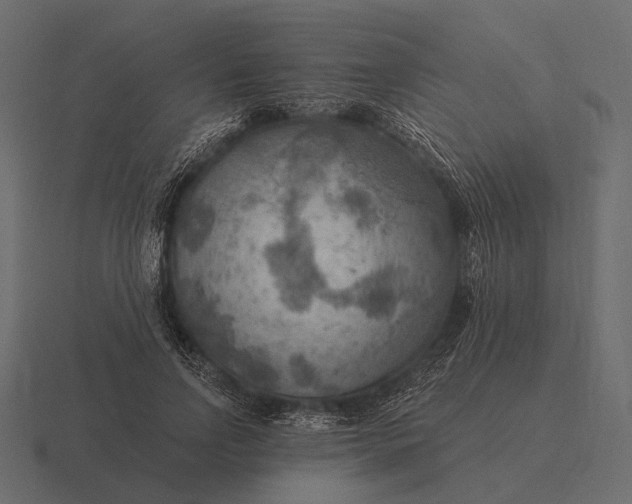 X0000116550742200912241555