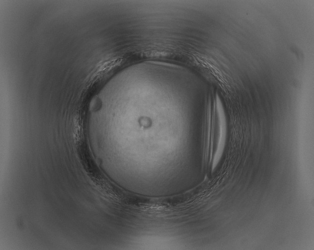 X0000116550743200912241555