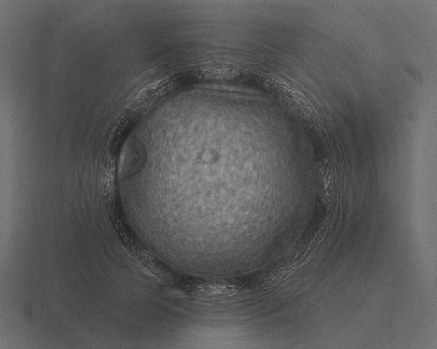 X0000116550745200912241555