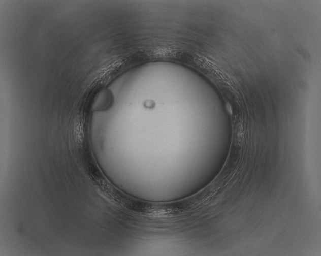 X0000116550746200912241555