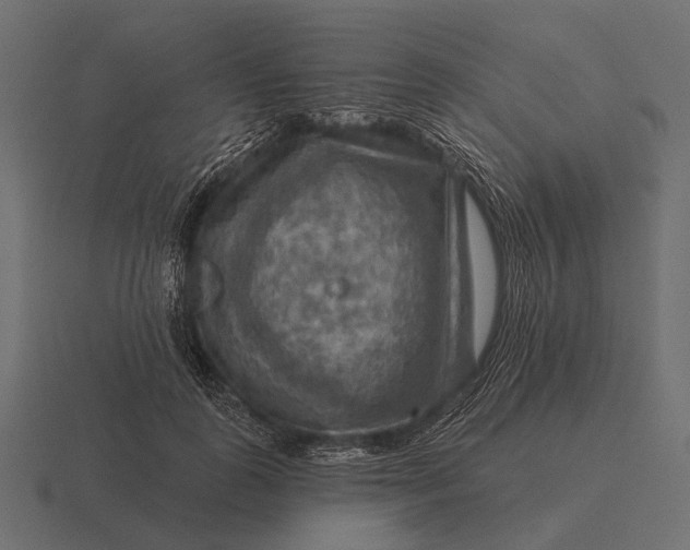 X0000116550747200912241555