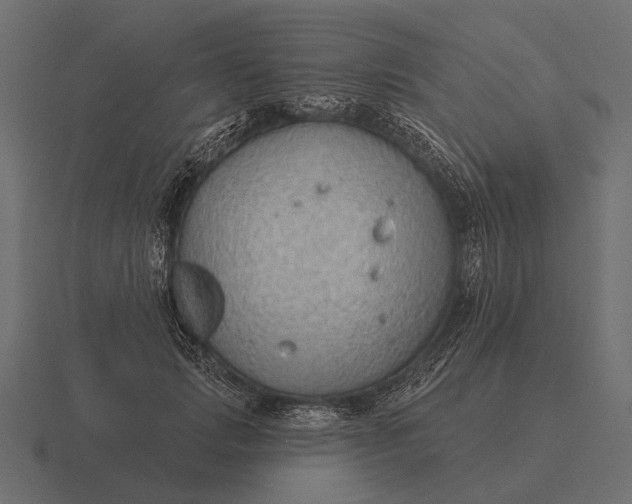 X0000116550749200912241555