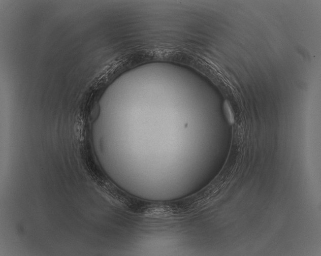 X0000116550750200912241555