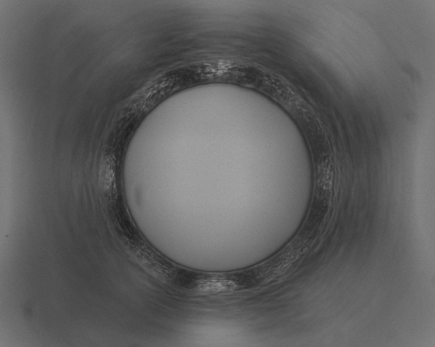 X0000116550754200912241555