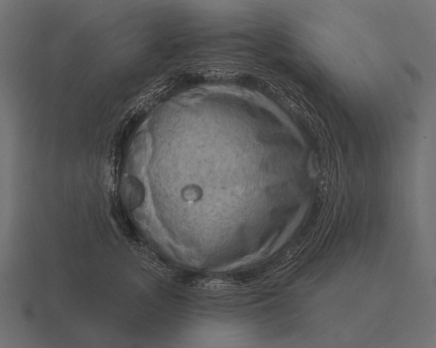 X0000116550755200912241555