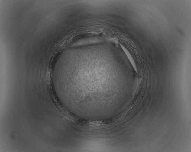 X0000116550757200912241555