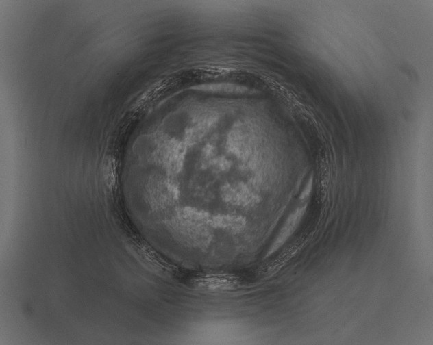 X0000116550758200912241555