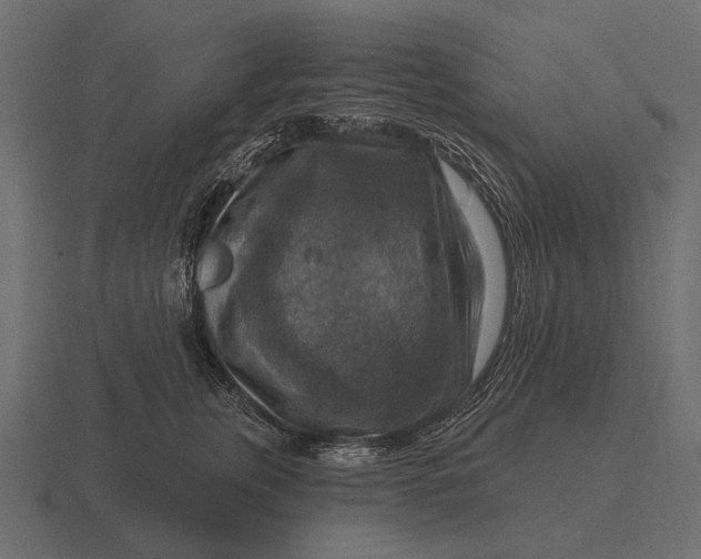 X0000116550759200912241555