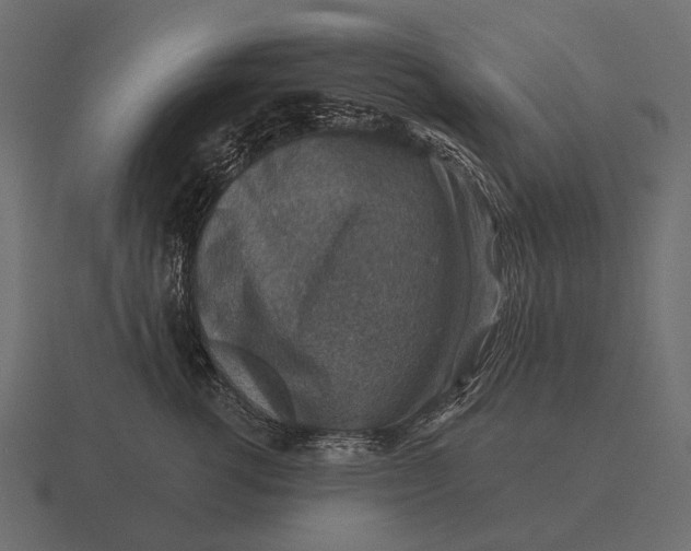 X0000116550762200912241555